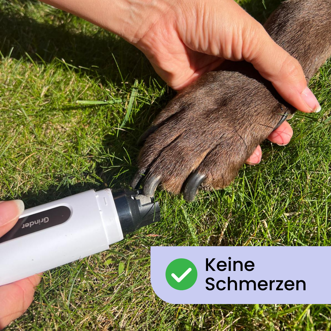 Petcare Pro | Krallenschleifer