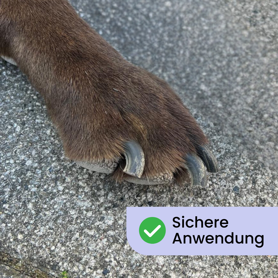 Petcare Pro | Krallenschleifer