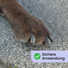 Petcare Pro | Krallenschleifer